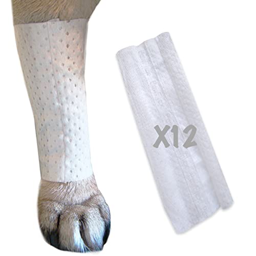 Find The Best Leg Sleeve For Dogs Reviews & Comparison Katynel