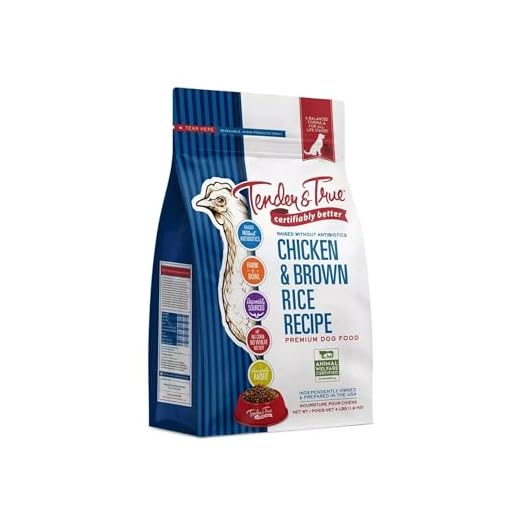 Tender & True Antibiotic-Free Chicken & Brown Rice Recipe Dog Food, 4 lb