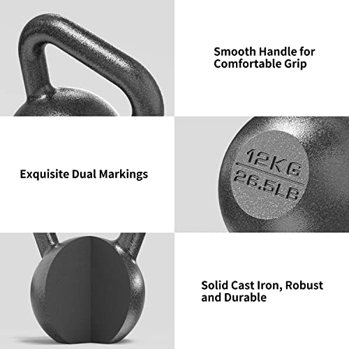 Image of PROIRON 12kg Cast Iron kettlebell Weight for Home Gym Fitness & Weight Training