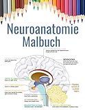 bestes neuroanatomie buch  Neuroanatomie Malbuch: Neurowissenschaftliches Arbeitsbuch - Das Menschliche Gehirn