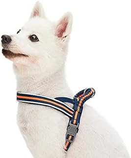 Amazon Brand - Umi Neoprene-padded Dog Harness in Navy & Orange Stripes, Small, Adjustable Harnesses for Dogs