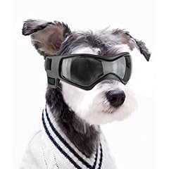 Sonnenbrille Hund
