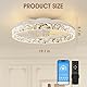 NIORSUN Ventilator Deckenleuchte, 50CM LED Deckenventilator mit Beleuchtung,3 Farbtemperatur und 6 Geschwindigkeiten,Deckenlampe mit Ventilator,APP/Fernbedienung Dimmbar Timer（White）