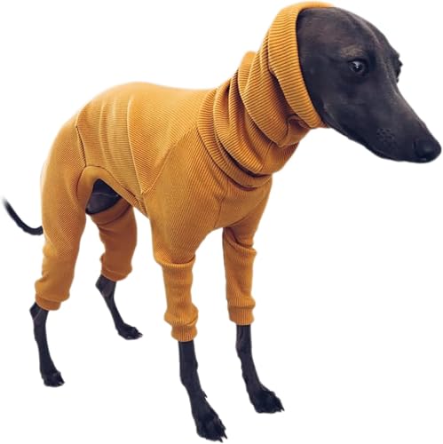 yiElCz[ZsunNa] t[X Z[^[ R[g ӂӂ  WPbg R[g g  킢 m DOt  WPbg ybg q L ` uE xXg h g WPbg E₷ 