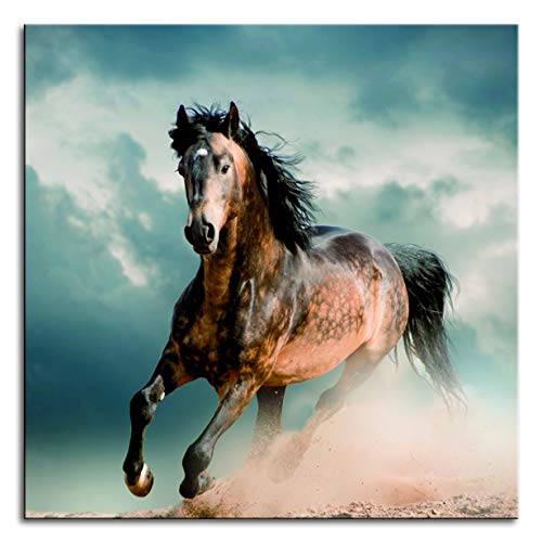 Panel decorativo de diseño Pintdecor de caballo 50x50 cm varios colores