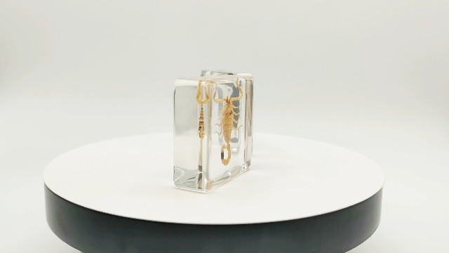 Image of Insect Specimens Set, Black Scorpion and Yellow Scorpion Specimens in Resin, Animal Taxidermy Collection for Science Education & Desk Ornament, (FBBJ-03)