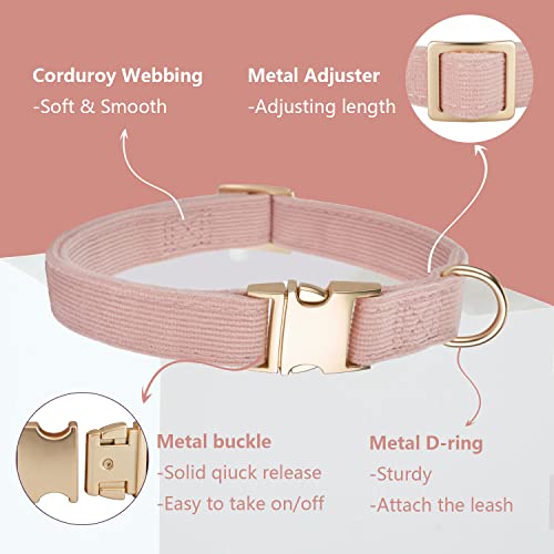 Petiry Soft Pink Dog Collar with Safety Metal Buckle Adjustable Durable Comfort Velvet Corduroy Puppy Collars for Small Dogs Neck 25-38cm,Baby Pink - Image 3