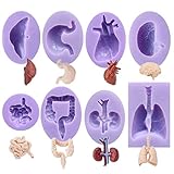 Human Organs Shape Silicone Molds,Heart Liver Christmas Fondant Cake Decorating Tools Chocolate Mold Pudding Jelly Mold (8 Pcs)