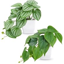 Der Rose 2Pcs Small Fake Plants Artificial Mini Faux Plants for Bathroom Office Desk Shelf Table Accessories Decor Indoor