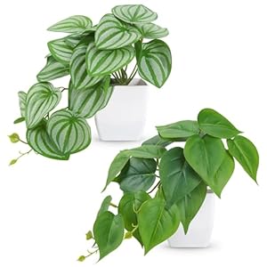 Der Rose 2Pcs Small Fake Plants Artificial Mini Faux Plants for Bathroom Office Desk Shelf Table Accessories Decor Indoor