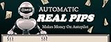 Automatic Real Pips. MetaTrader 4 Expert Advisor MT4 Forex Trading Robot. Make Automatic Profits NOW!