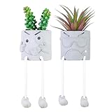 ❤❤【Service après-vente】 : Si vous rencontrez des plantes succulentes endommagées dans le pot ou si vous avez d'autres questions, n'hésitez pas à nous contacter, notre sympathique équipe de service clientèle, qui est en ligne 24 heures sur 24, et nous vous proposerons la solution satisfaite.