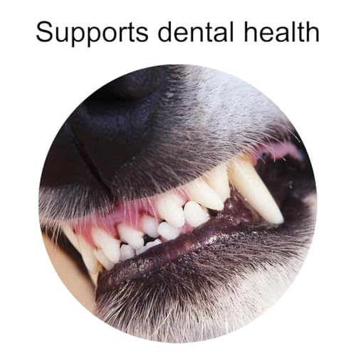 Pack of 2 Buffalo Horn Treat - Pet Dog Puppy Natural Snack Chew High Protein Reward For Good Behaviour - Promotes Dental Hygiene Supports Healthy Teeth & Gums Teething - Image 4