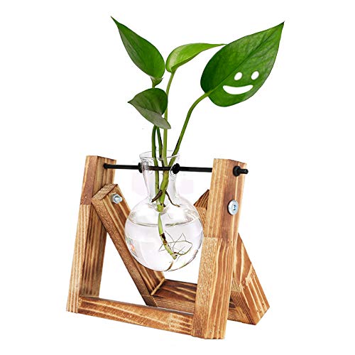 HUABEI Plant Terrarium Wooden Stand, Air Planter Bulb Glass Vase Metal Swivel Holder Retro Tabletop Hydroponics Home Garden Office Decoration - 1 Bulb Vase