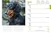 Dachshunds 2017 Calendar