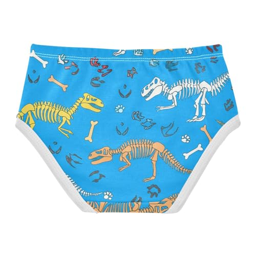 Dinosaur Skeletons Skull Blue Toddler Underwear Custom 2t Cotton Little Girl Panties Animal Underpants Briefs2