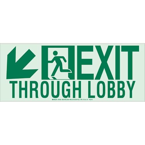 Brady 81828 Exit Sign, English, Surf, 8" x 20", Green/White