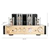 MAD-TA10BT - MADISON - STEREO TUBE AMPLIFIER 2 X 25W RMS, silber/braun/scwarz #4