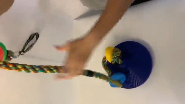 Corda Per Arrampicata Per Bambini 2m Con 5 Pioli In Legno – Accessorio Per Altalena E Gioco All'aperto – Scala Di Corda Con Anello Metallico – Adatta Da 3 Anni