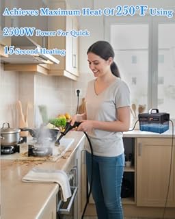 Mecmic Steam Cleaner for Home - 1600ML Water Tank 15s Heat-Up Portable Steamer for Cleaning, 6 Level Adjustable, 2500W, 45PSI, 250°F Steam, Handheld Steam Cleaner for Car Detailing, Grease, Tile,Grout