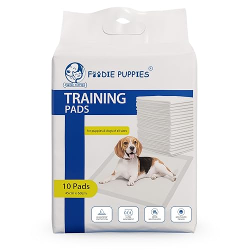 Foodie Puppies Pee & Potty Pet Training Pad (45X60cm - 10 Pads) for Puppies & Dogs | Leak Proof Protection | Ultra-Absorbent | Odor Neutralizer | Multilayer Design
