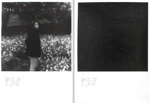 宇多田ヒカル Wild Life ポスター2枚 WILD LIFE | HIKARU UTADA