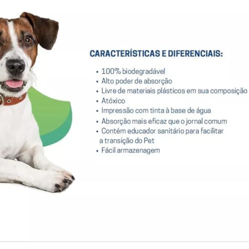 Tapete Higiênico para Cachorro em papel Ecológico premium Rolo com 60x24cm