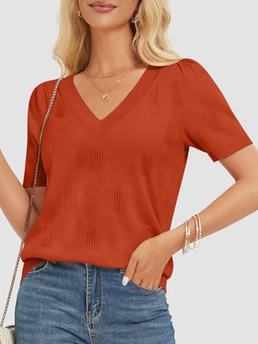 ATHMILE Summer Tops for Women 2025 Short Sleeve V Neck Sweaters Dressy Casual Blouses Lightweight Thin Knit Fashion Shirts3
