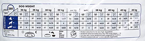 Royal Canin Maxi Adult, 5+, 15 kg, 1er Pack (1 x 15 kg Packung), Hundefutter