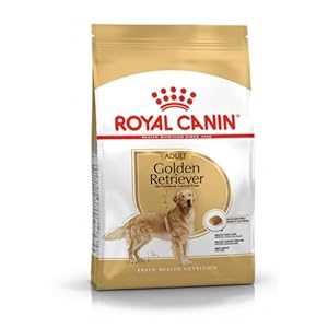 ROYAL CANIN Golden Retriever Adult | 3 kg | Alimentation sèche pour Chiens | Spécialement pour Les Golden Retrievers Adultes et âgés | À partir de 15 Mois | Soutien de la Peau et du Pelage