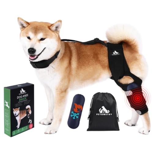 Petometry Universal Dog Knee Brace with Hot/Cold Therapy Pack, Adjustable, Breathable, Extra Comfortable Collar with Stabilising Back Brace (Medium)