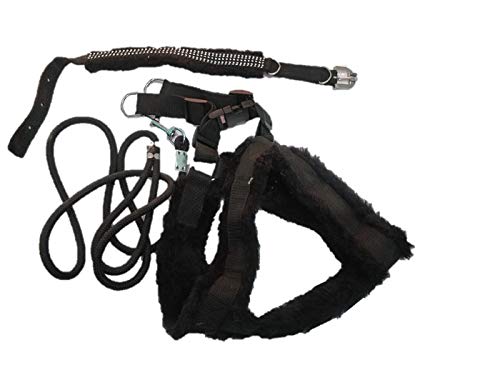 PETHUB Combo FAR Harness-Black-Large Dog (B07SJ51CB1) Amazon Price History, Amazon Price Tracker
