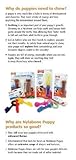 Nylabone Kauspielzeug für Welpen Starter Kit