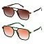 Brown Tortoise & Green