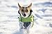 Kerbl Pet Outdoor Hundemantel Vancouver, grün/grau, 30 cm