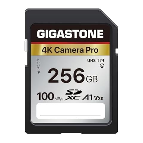 Gigastone Karta pamięci SDXC 256 GB, seria 4K Pro, prędkość transferu do 100 MB/s. kompatybilna z kamerą Canon Nikon Sony, A1 V30, UHS-I Class 10, do filmów 4K UHD
