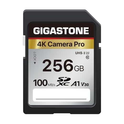 GIGASTONE 256GB 4K SD Card with Mini Case
