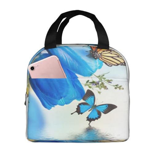 fM`obO e h MRh~ X^CbVŏv dAwZAAEghAɕ֗ jp (~Uƒ̏t̔wi̎}Ɛ`[bv̉)