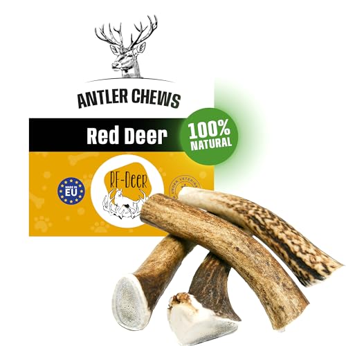 RF - Deer Set di Cervo per Cani 100% Naturale Osso di Cervo per Cani Masticativi Naturali, Giochi e Snack Bocconcino per Cane Taglia XS HARD Version 5 Pezzi 100-150 g 6-9 cm