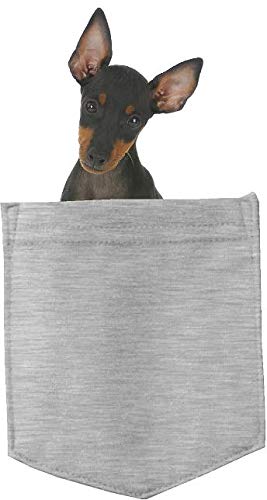 Manchester Terrier Dog in Pocket Car Bumper Magnet, Magnetic for Refrigerator, Decorative Fridge, Office, Whiteboard, Kitchen, Locker Waterproof Decor, Family & Friends, 4x7 in