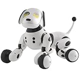 Omnibot Hello! Zoomer