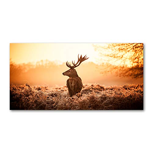 Splashback guard en verre trempé 100x50cm motif cerf brun pour cuisine haut de gamme