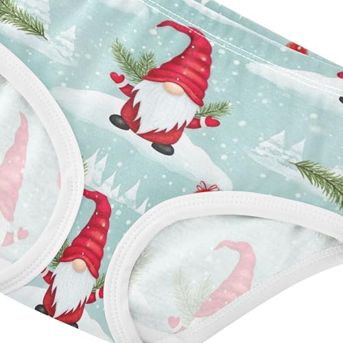 Toddler Underwear Floral 2t Cotton Panties Little Girl Fun Print Briefs Undies Kids Red Hats St4