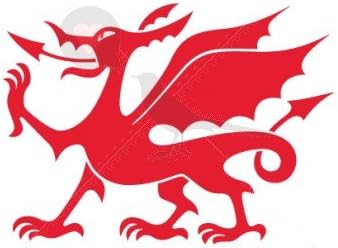 Welsh Dragon - Temporary Tattoo by TempTatz (Wales Euro)