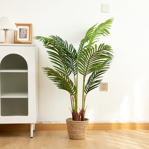 [LJKI] tFCNO[ ϗtA AJV CeA  Vv A170cm A  z[ x_   Bep lHϗtA Vzj zj JXj JƏj ͂ȂO[ ȒP? sv Q쏜sv