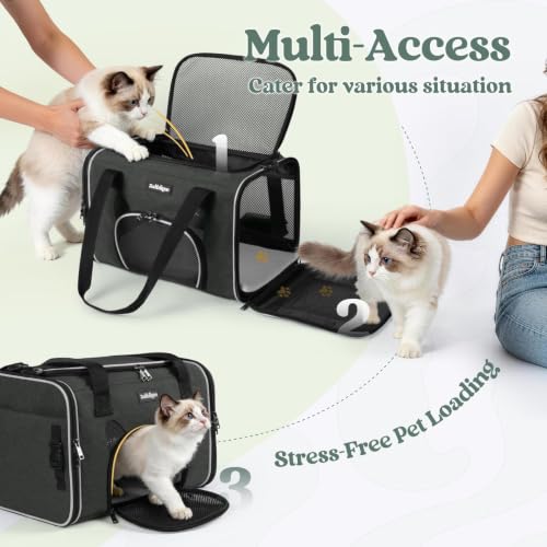Image of rabbitgoo Cat Carrier Soft Sided, Stable Portable Pet Carrier with Safety Buckles for Car Travel Vet Visit Airline, Comfortable Breathable Kitten Bag for Small Medium Large Cat, Black, 19x12x12 inch