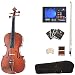 Cecilio CVA-400 15-Inch Solid Wood Flamed Viola with Chromatic Tuner