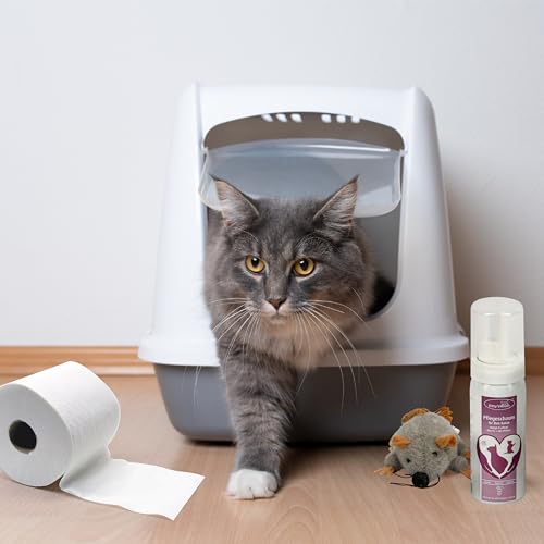 maxxiclean world Kitty’s Wash - Pfoten- & Po-Reinigungsschaum für Katzen - Katzen-Pflegeschaum 50ml - Sanft - pH-neutral - Dermatologisch getestet - mit Aloe Vera & natürlichen Wirkstoffen