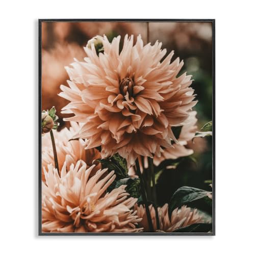 Stupell Industries Wild Pink Dahlias Spring Flowers Closeup Photography, Design by Amy Brinkman, 24 x 30, Pink
