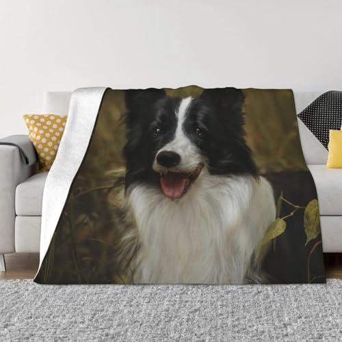 {[_[ER[  uPbgtl _炩G 􂦂 ԗp lGKp